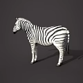 Modern Zebra Modern Realistic Animal Reptile Zebra 3d model