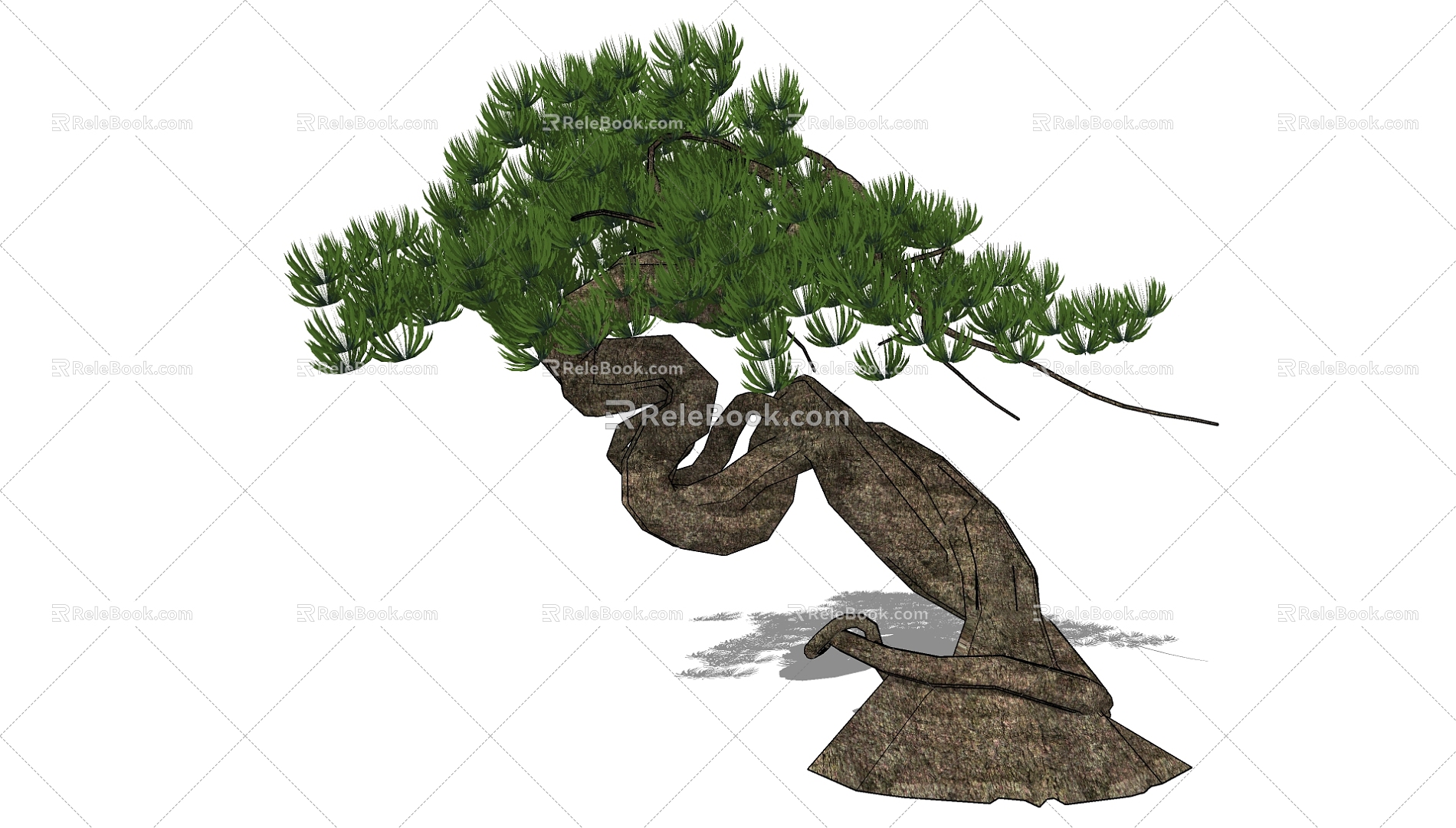 pine tree 3d model