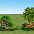 Vibrant Shrubs with Green Red Orange Yellow Foliage in Lawn Garden