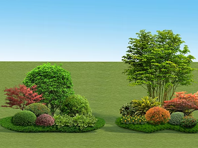 Vibrant Shrubs with Green Red Orange Yellow Foliage in Lawn Garden 3d model