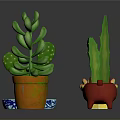 Decorative Potted Cactus Plants in Various Colored and Shaped Pots on Dark Background