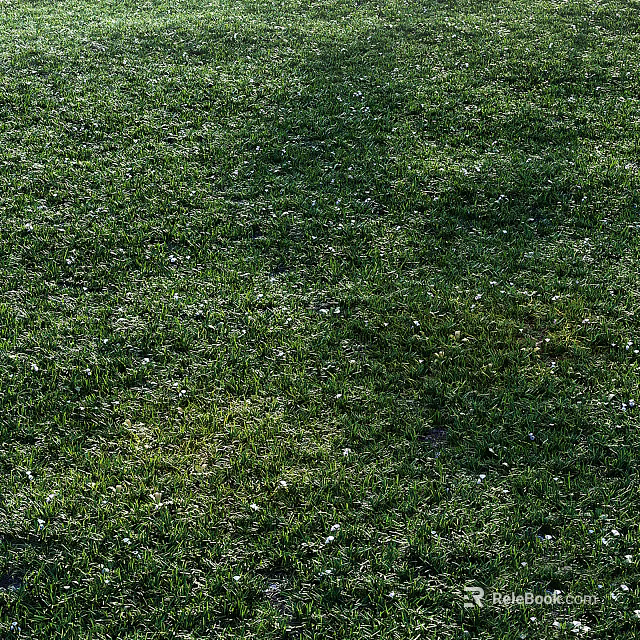 Lush Green Grass Field With Small White Flowers In Natural Setting 3d model 