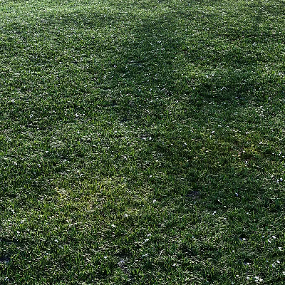 modern grass lawn 3d model modern grass lawn 3d model