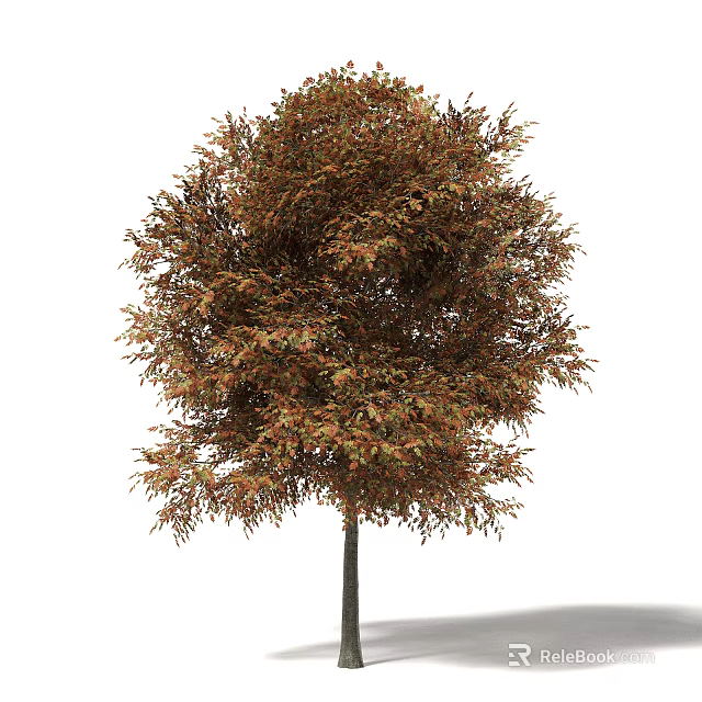 Tree With Vibrant Brown Green Leaves Lush Dense Foliage And Rounded Canopy 3d model 