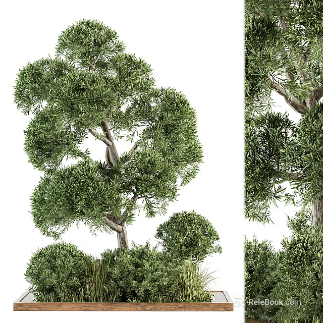 Lush Green Trees And Shrubs In Decorative Flower Bed And Planter Landscape Design 3d model 