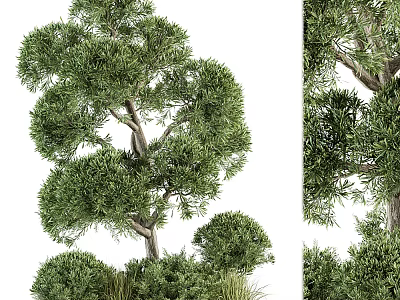 Lush Green Trees And Shrubs In Decorative Flower Bed And Planter Landscape Design 3d model