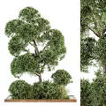 Lush Green Trees And Shrubs In Decorative Flower Bed And Planter Landscape Design