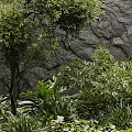 Lush Green Plants And Various Flowers In Natural Garden With Stone Wall Background