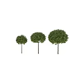 Decorative Ornament Set Featuring Three Spherical Trees With Lush Green Leaves 3d model