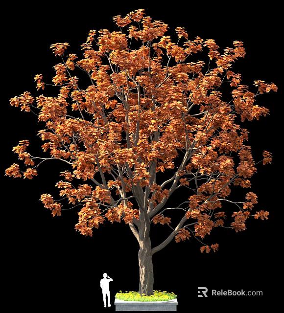 Orange Leaf Tree With Lush Autumn Foliage Against Black Background 3d model 