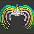 Colorful Human Rib Cage 3D Model Displaying Anatomical Skeletal Organ Structure Details