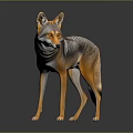 3D Rendered Wolf with Orange and Gray Fur Standing on Dark Background with Reflection