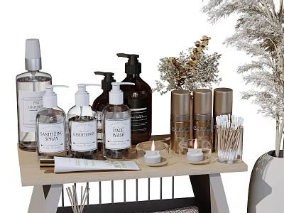 Modern Bathroom Set With Hand Soap Bottles Scented Candles Cotton Swabs And Decorative Plants 3d model