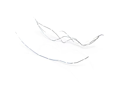 Thin Black Hair Strands Isolated On White Background With Fine Structure 3d model