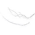 Thin Black Hair Strands Isolated On White Background With Fine Structure