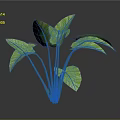 Lush Tropical Indoor Plant With Large Green Leaves And Long Green Stems