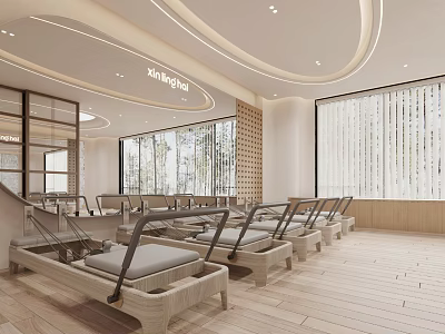 Modern Pilates Studio With Reformer Machines And Bright Space 3d model