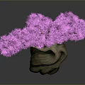Decorative Tree With Pink Flowers And Twisted Trunk On Dark Background 3d model