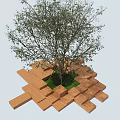Wooden Tree Pit With Interlocking Blocks Surrounding Tree Trunk And Green Grass 3d model