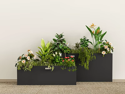 Indoor Potted Plants Arrangement In Black Rectangular Planters With Various Greenery And Flowers 3d model