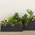 Indoor Potted Plants Arrangement In Black Rectangular Planters With Various Greenery And Flowers