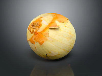 Fresh Peeled Yellow Onion With Orange Skin On Dark Reflective Background 3d model