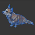 Brown and White Corgi Sitting on Dark Background With Reflection on Smooth Surface
