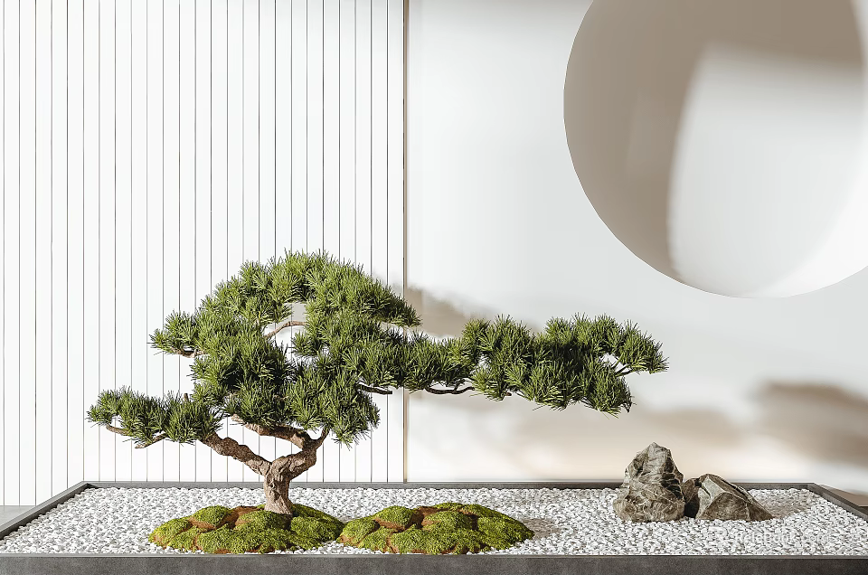 Artistic Bonsai Tree with Green Pine Foliage Moss Pebbles and Rocks on Decorative Wall Background 3d model 