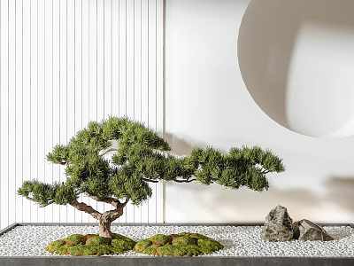 Artistic Bonsai Tree with Green Pine Foliage Moss Pebbles and Rocks on Decorative Wall Background 3d model