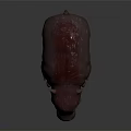 Realistic Baby Hippopotamus With Smooth Brown Skin Standing On Black Reflective Surface
