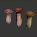 Three Fresh Mushrooms With Brown Caps And Light Stems On Dark Surface