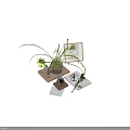 Elegant Decorative Ornament Set With Potted Plant Framed Quote Books And Scented Bottle