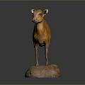 Stuffed Orange Antelope Taxidermy Display on Rock Base with Dark Background
