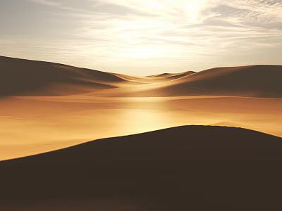 Tranquil Park Landscape With Green Lawn Trees And Sunset Sky View 3d model