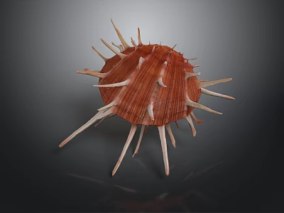 Organ And Hair Like Structures On Red Spiky Seashell With White Spines 3d model