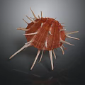 Organ And Hair Like Structures On Red Spiky Seashell With White Spines