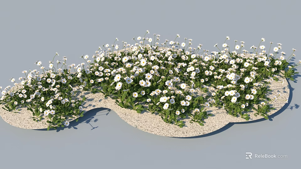 Lush White Daisies With Green Leaves In Wavy Gravel Landscape 3d model 