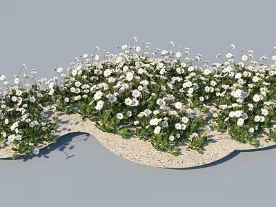 Lush White Daisies With Green Leaves In Wavy Gravel Landscape 3d model