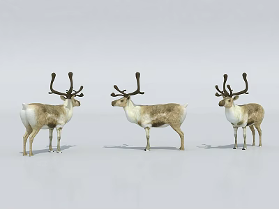 Three Reptile Creatures With Distinct Standing Positions On White Background 3d model