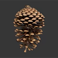 Pine Cone As Natural Edible Food With Brown Scales And Rough Surface
