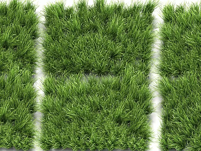 Lush Green Grass Turf Patches Neatly Arranged For Garden Landscaping Design 3d model