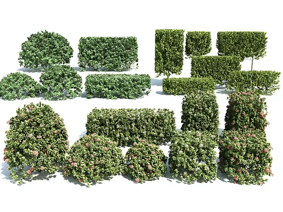 Diverse Shaped Garden Bushes with Lush Foliage and Flowering Varieties for Landscaping 3d model