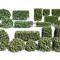 Diverse Shaped Garden Bushes with Lush Foliage and Flowering Varieties for Landscaping