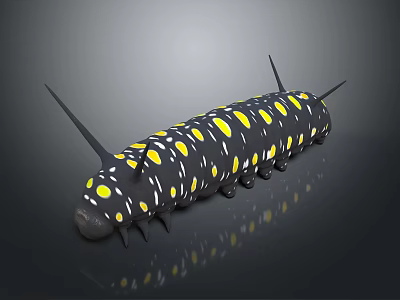 Caterpillar With Black Body Yellow Spots And Sharp Black Spines On Gray Background 3d model
