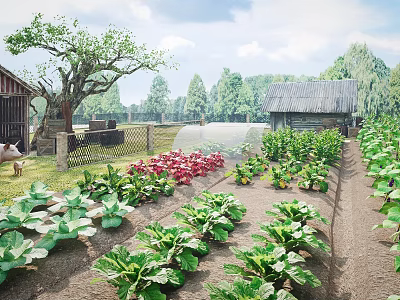 Fresh Vegetable Crops Growing In Organized Farm Field With Red Flowers Wooden Shed And Trees 3d model