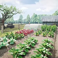 Fresh Vegetable Crops Growing In Organized Farm Field With Red Flowers Wooden Shed And Trees
