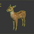 Brown Fawn With White Spots Standing On Dark Background With Reflective Surface 3d model