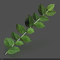 Fresh Green Leafy Branch With Multiple Leaves On Gray Background And Shadow 3d model
