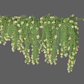 Hanging Green Vine With Lush Leaves And White Small Flowers For Natural Decoration