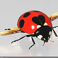 Red Ladybug With Black Spots Yellow Wings Black Body And White Head Spots